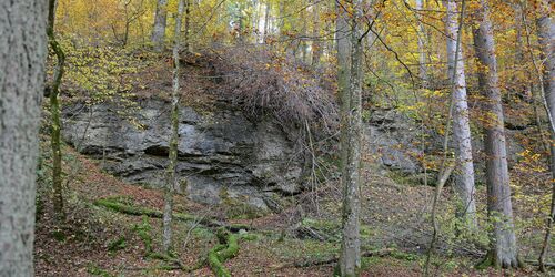 Nagelfluhfelsen auf Maisinger Schlucht Wanderweg