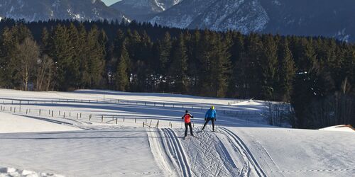 Langlaufen in den Ammergauer Alpen