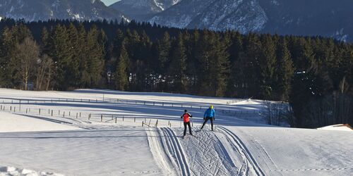 Langlaufen in den Ammergauer Alpen 