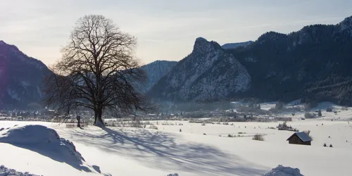 Verschneite Landschaft mit Bergpanorama