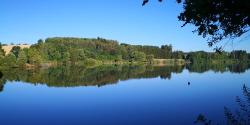 Untreusee mit Waldpanorama