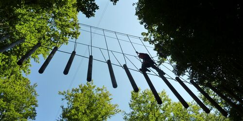 Sport in der Vertikalen: Der Kletterwald Spessart