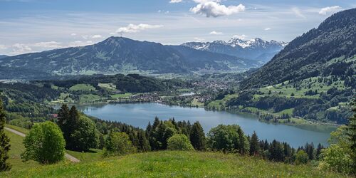 Luftaufnahme Grosser Alpsee im Sommer