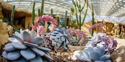 egapark Erfurt: Blüten, Gartenkunst und Freizeitspaß seit 1961