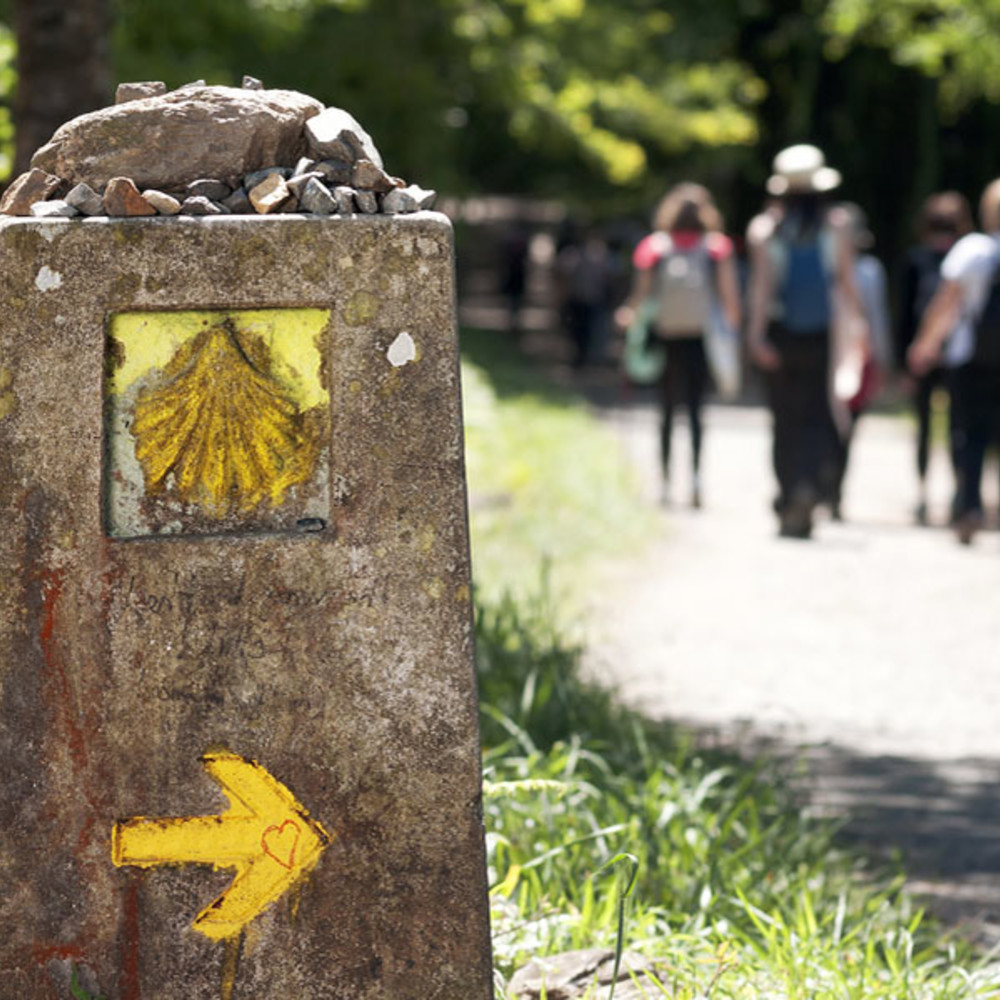 Der bayerische Jakobsweg DB Regio Bayern