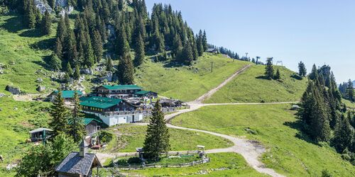 Grün bewachsene Alm mit Haus