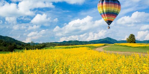 Heißluftballon über gelbem Rapsfeld
