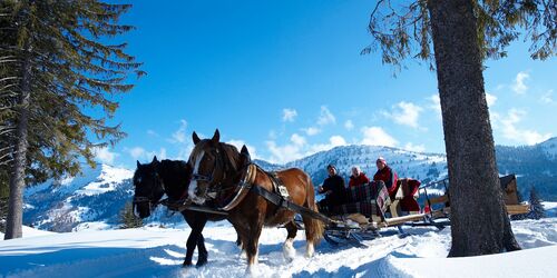 Pferdeschlitten im Schnee vor blauem Himmel und Bergpanorama