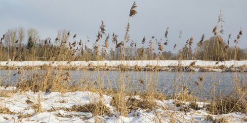 Aussteigen und königlich genießen auf dem Naab Wanderweg