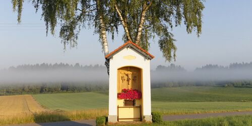 Kleine Kapelle auf dem Jakobsweg mit Baum und Feld im Hintergrund