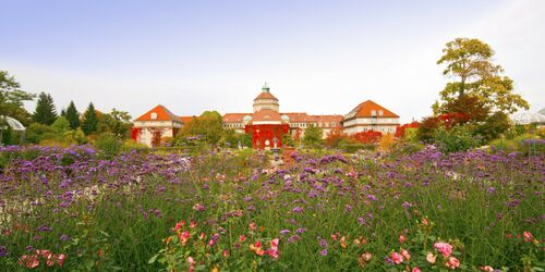 Der Botanische Garten München