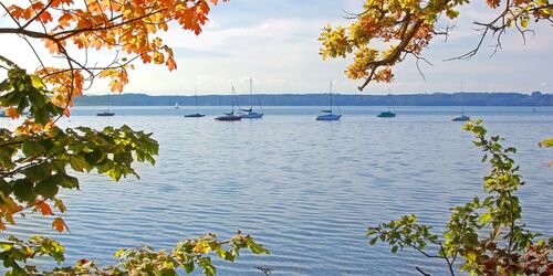 Blütenpracht in Bernried am Starnberger See