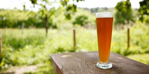 Glas Weißbier auf Holztisch mit grüner Wiese