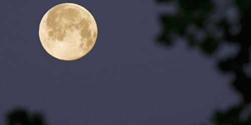 Wichtel bei Vollmond in Bad Kissingen